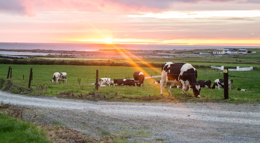 Photo of Flynn's Cottage