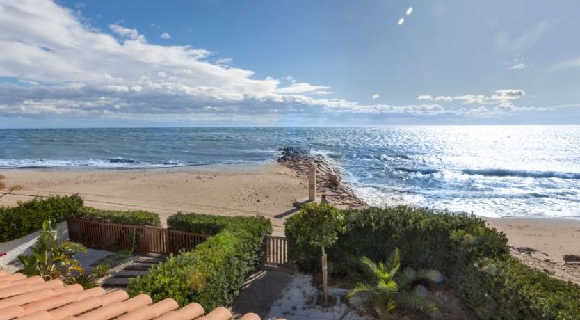 Photo of Marabou 2.0