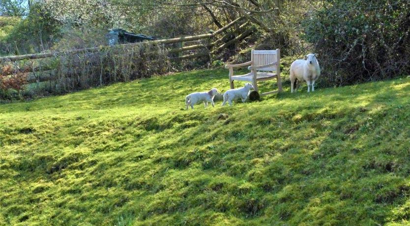 Photo of 2 Bed in Llangattock