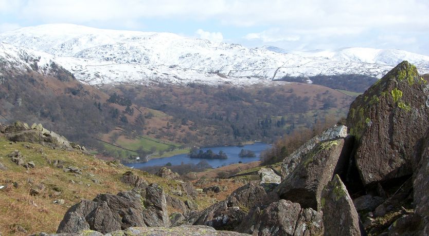 Photo of Yew - Woodland Cottages