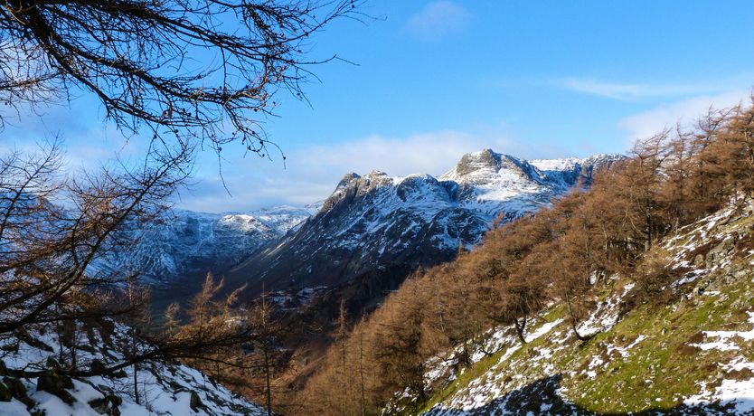 Photo of Elm - Woodland Cottages