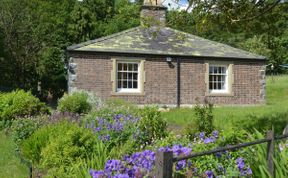Photo of in Welshpool  (50935)