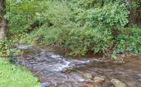 Photo of in Cwmdu (50908)