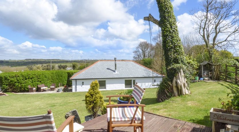 Photo of Blue Oyster