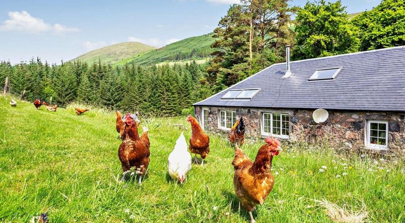 Photo of 2 Bed in Banavie