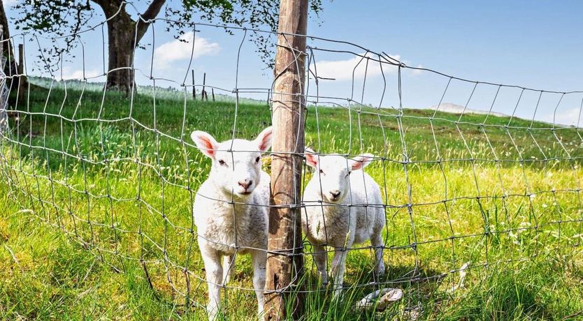 Photo of 2 Bed in Banavie