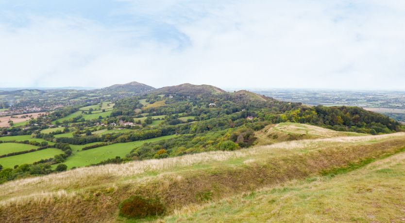 Photo of Garden View