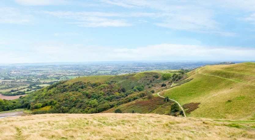 Photo of Garden View