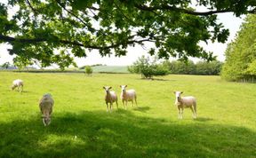 Photo of Cottage in Northumberland