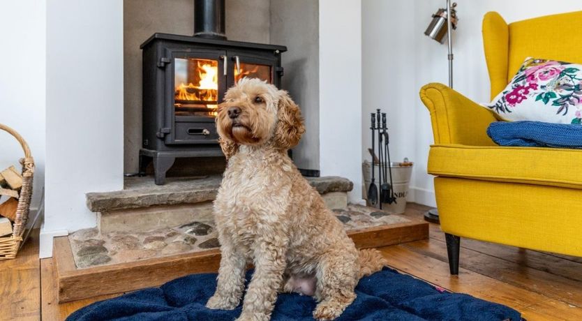 Photo of 4 Bed in Hambleton