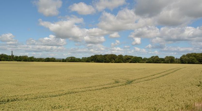 Photo of 2 Bed in Widdrington