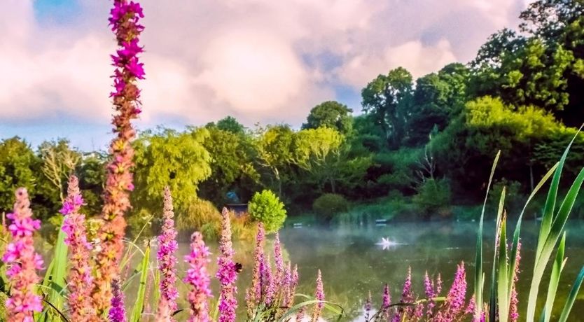 Photo of 2 Bed in Llawhaden