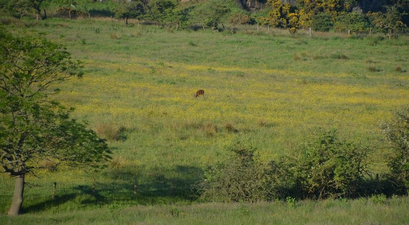 Photo of 3 Bed in Linlithgow