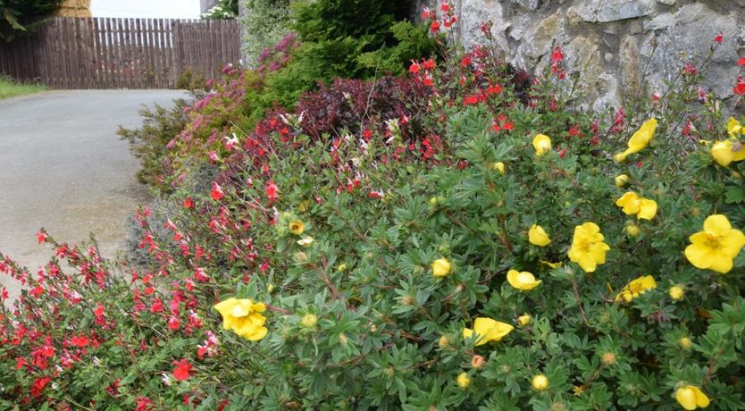 Photo of 1 Bed in Caerwys