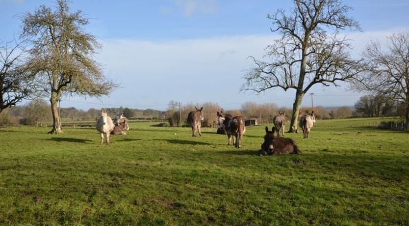 Photo of 1 Bed in Curry Rivel