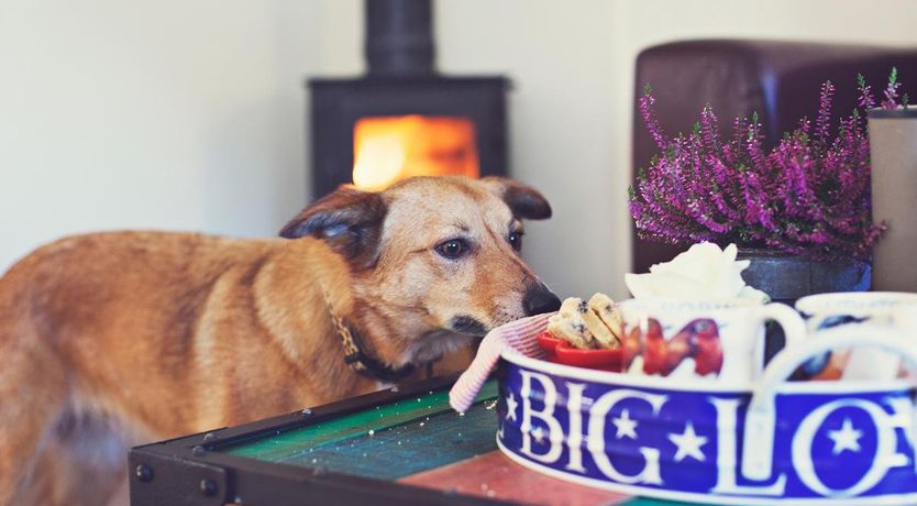 Photo of 2 Bed in The Dardy