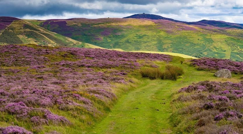 Photo of 3 Bed in Overton