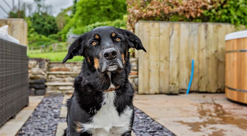 Photo of 5 Bed in Brushford