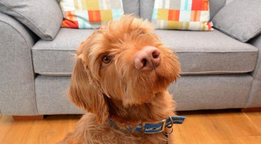 Photo of 1 Bed in Rocombe