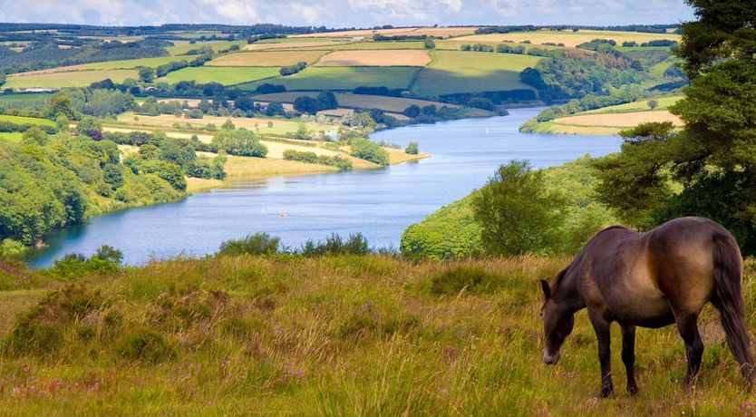 Photo of 2 Bed in Timberscombe