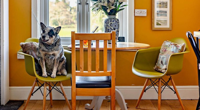 Photo of 4 Bed in Friog