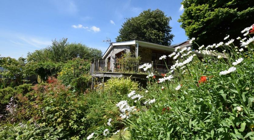 Photo of in Tregaron  (43288)