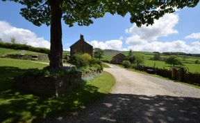 Photo of in Hayfield (PK551)