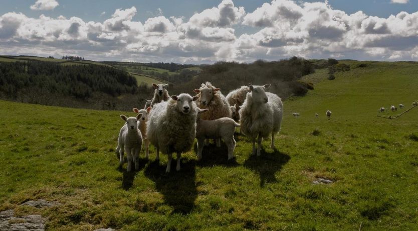 Photo of 2 Bed in Woolacombe
