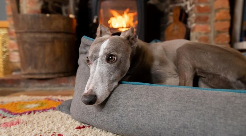 Photo of 3 Bed in Docking