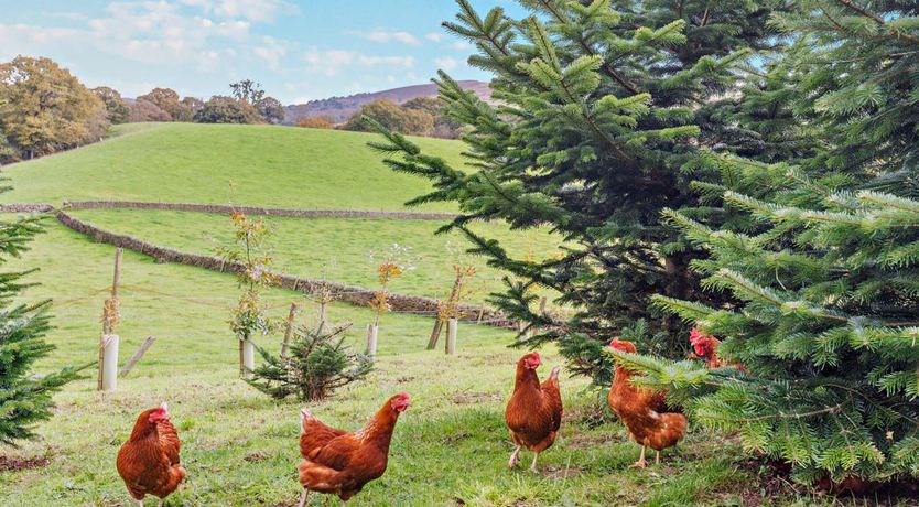 Photo of 2 Bed in Wincle