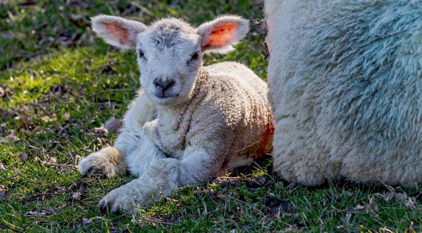 Photo of 1 Bed in Monmouth