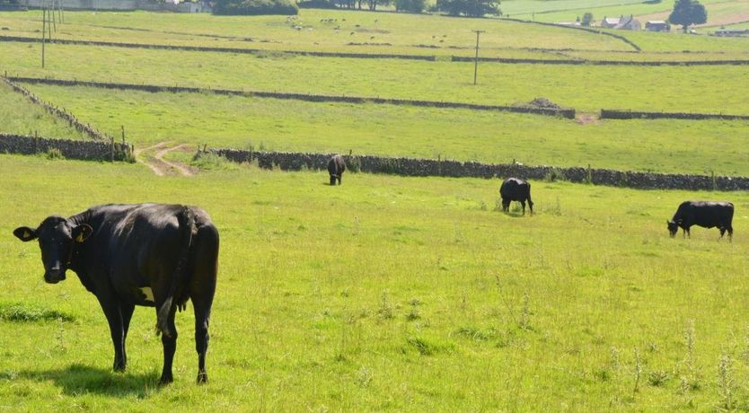 Photo of 3 Bed in Blackwell