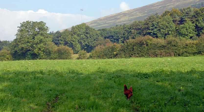 Photo of 1 Bed in Hope