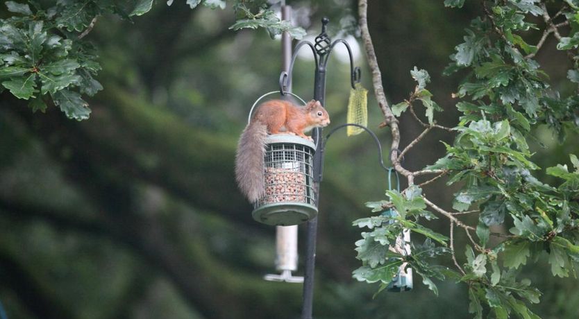 Photo of 1 Bed in Pinwherry