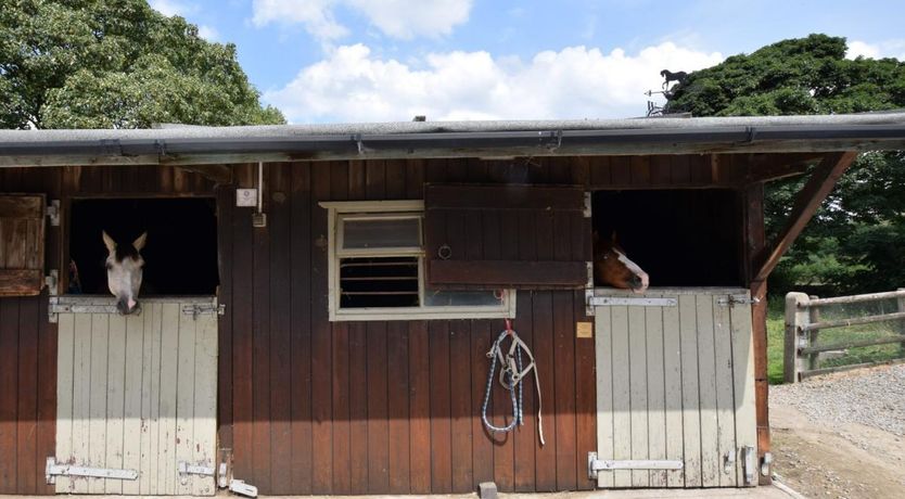 Photo of 1 Bed in Bradwell