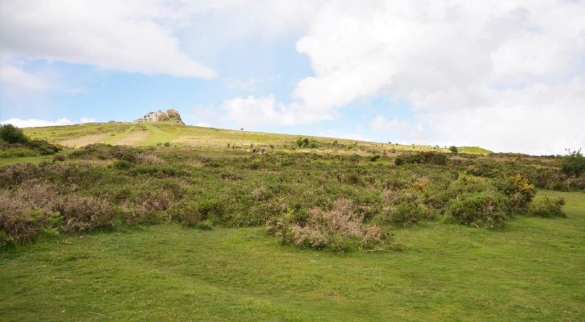 Photo of Log Cabin in South Devon