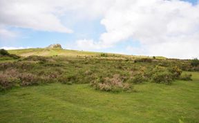 Photo of Log Cabin in South Devon