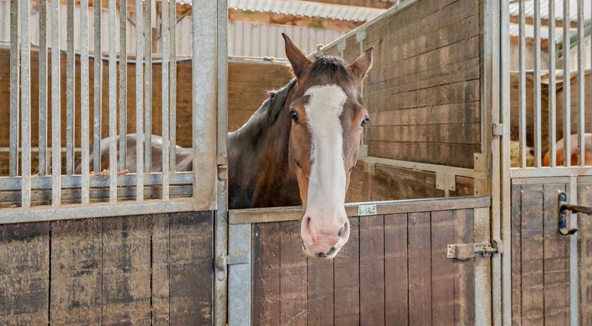 Photo of 1 Bed in Fairlight