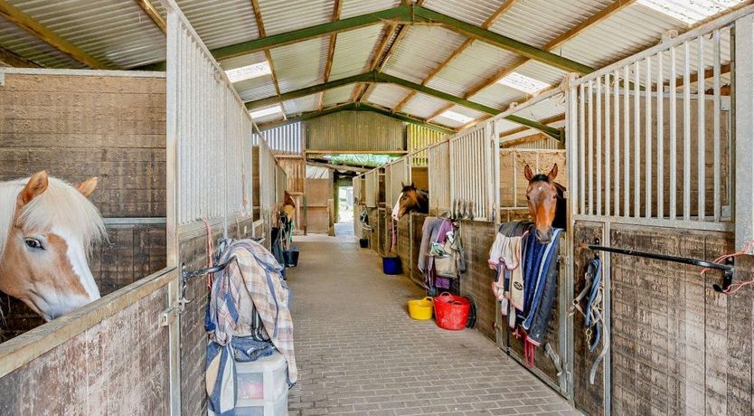 Photo of 1 Bed in Fairlight