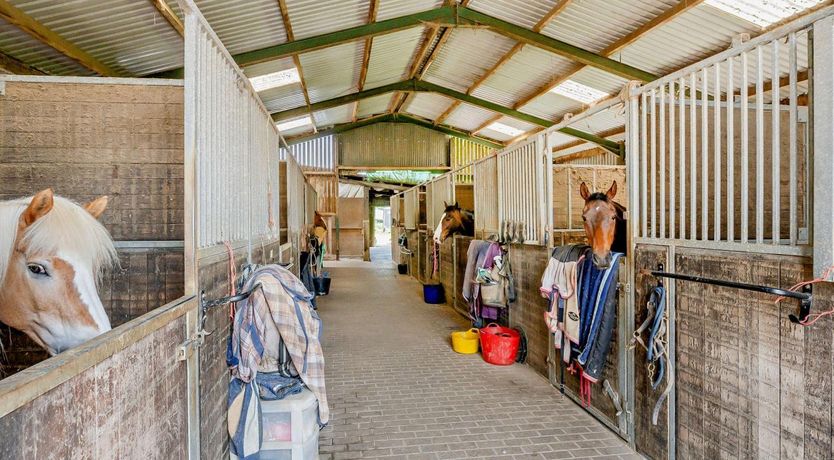 Photo of 1 Bed in Pett Level