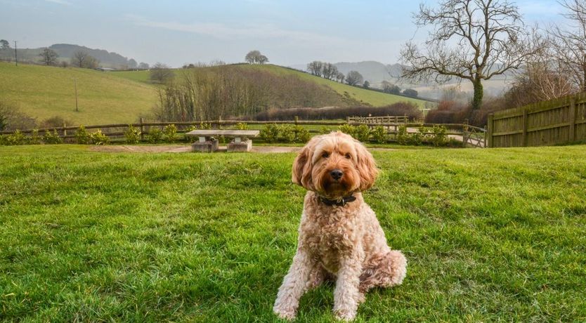 Photo of 5 Bed in Cadeleigh