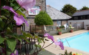 Photo of Cottage in North Devon