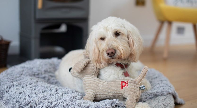 Photo of 3 Bed in Northam