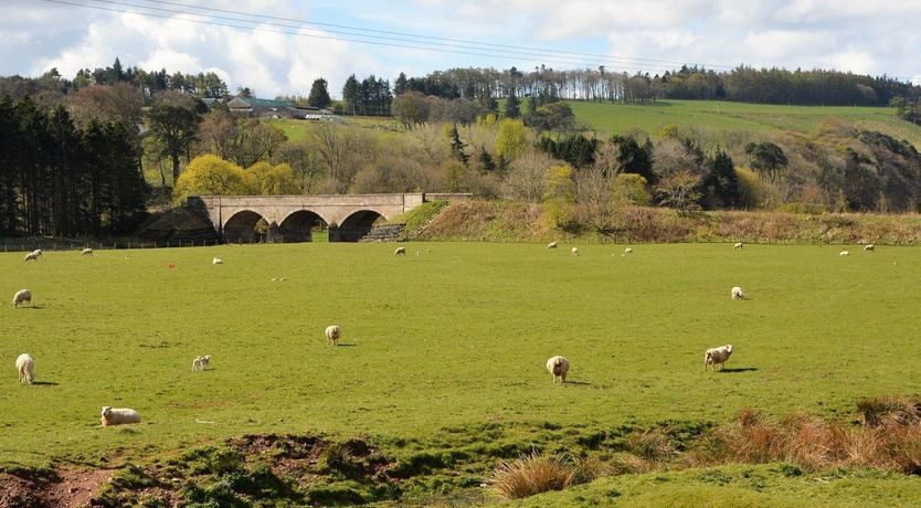 Photo of 2 Bed in Duns