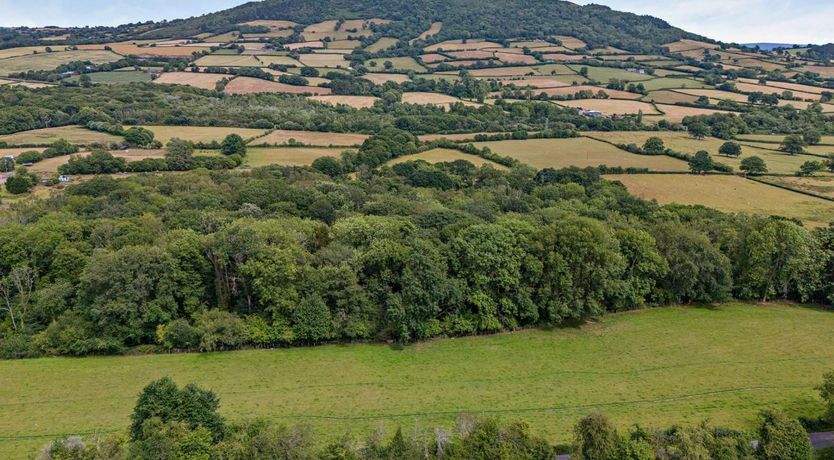 Photo of 1 Bed in Pantygelli