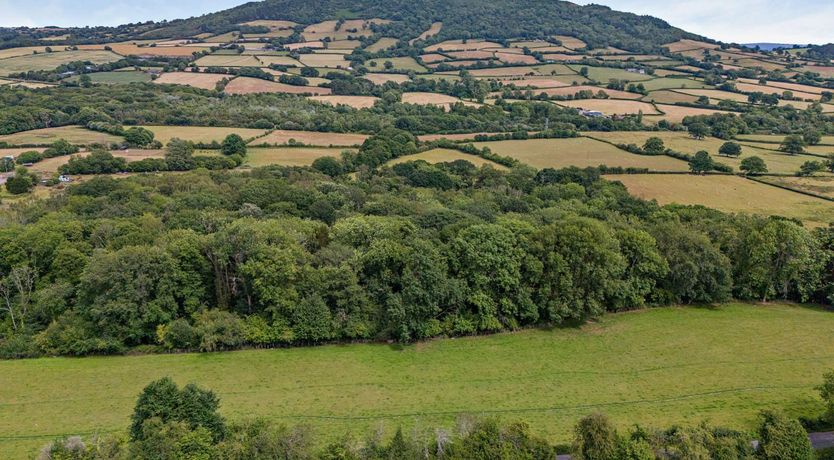 Photo of 1 Bed in Abergavenny