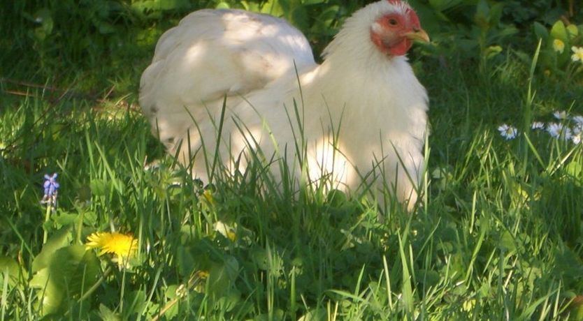 Photo of 1 Bed in Mollington