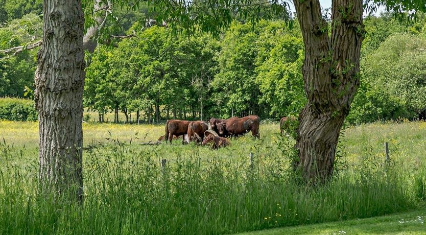 Photo of 3 Bed in Bells Yew Green