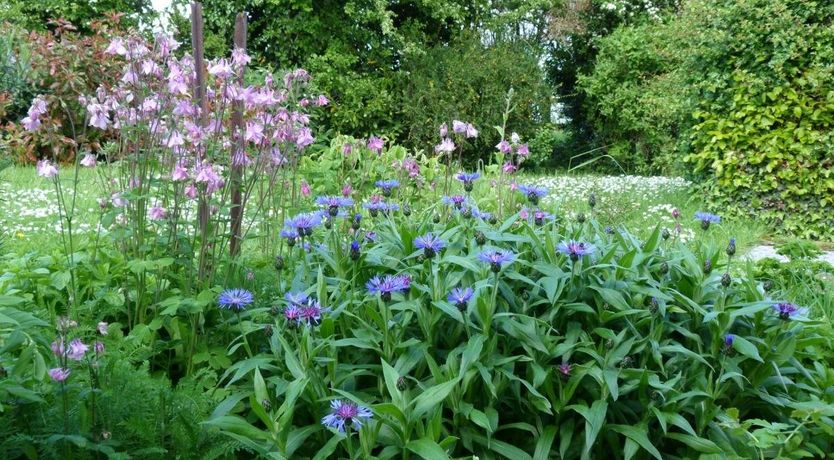 Photo of 1 Bed in North Curry