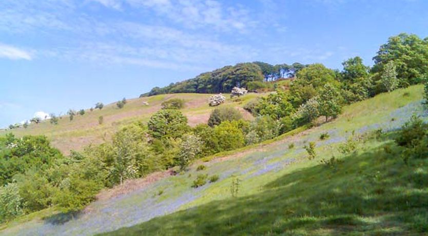 Photo of Squirrel Lodge